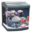 JBJ 24 Gallon Nano-Cube Deluxe Aquarium 2X36W Compact Fluorescents & LED Moonlights