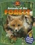 Animals of the Forest (Play & Learn Puzzle Books)