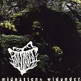 FINNTROLL - Midnattens Widunder