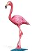Safari: Flamingo
