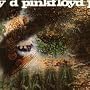 A Saucerful of Secrets