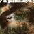 A Saucerful Of Secrets