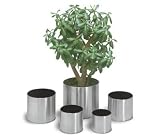 Blomus 66830 Planter O 16 Cm