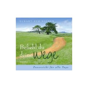 Befiehl du deine Wege. Zuversicht für alle Tage