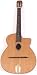 SX DJG-1 Gypsy Jazz Acoustic With Case