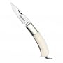 Aristocrat Medallion IVORY MICARTA