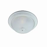 1-Light Flush Mount