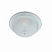 1-Light Flush Mount