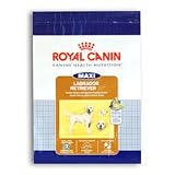 Royal Canin MAXI Canine Health Nutrition Labrador Retriever 30- net wt. 35 lbs.