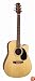 Jasmine by Takamine Jasmine Series ES33C Dreadnought Acoustic-Electric Guitar, Natural
