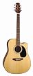 Jasmine by Takamine ES33C Acoustic/Electric Guitar with Hardhsell Case
