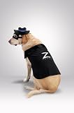 Zorro Dog Medium