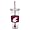 Washington State Cougars