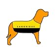 Cambridge United Personalised Waterproof Dog Coat Size S (14" 35cm) 
