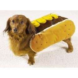 Dog Costume - Hot Diggity Dog Halloween Costume (Hot Dog w/Mustard) - Small