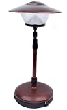 Low Price Dorcy 41 1090 8D Battery 200 Lumen LED Bronze Patio Light