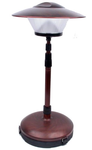  Dorcy 41-1090 200 Lumen LED Bronze Adjustable Patio Lamp 