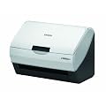 EPSON Offirio �V�[�g�t�B�[�h�X�L���i�[ ES-D200 600dpi CCD�Z���T A4�Ή�