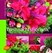 Per Benjamin, Weihnachtsfloristik: Kreativ mit Blumen