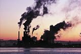 Biology Concepts: Pollution