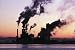 Biology Concepts: Pollution