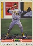 Scott Sheldon, Madison Muskies - Athletics Affiliate Autographed Card
