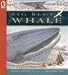 Big Blue Whale: Read and Wonder