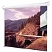 Electronics : Draper 207002 Draper Screen 60"X60" Roll