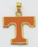 University of Tennessee Letter Charm - XC700
