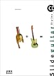 Slide Guitar Styles. Inkl. CD