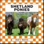 Shetland Ponies (Horses (Abdo & Daughers Publishing))