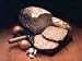 Gourmet Food : Pate De Campagne - 2.5 LB Loaf