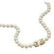 Platinum and Gold Cultured Pearl Necklace