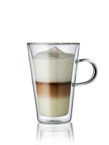 Bodum UK Canteen double walled glasses with handles, pair, 13.5oz