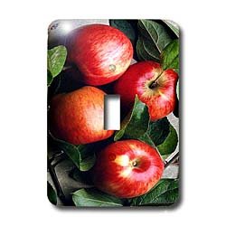 Fruit Food - Apple - Light Switch Covers - single toggle switch