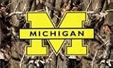 Michigan Wolverines Realtree Camo 3x5 Flag