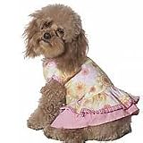 Summer Daze Floral Dress Pink - XXSmall