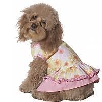 Summer Daze Floral Dress Pink - XXSmall
