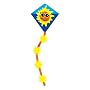 Worlds Apart Sunshine Kite