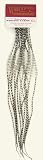 Whiting Farms 100's Saddle Hackle Pack