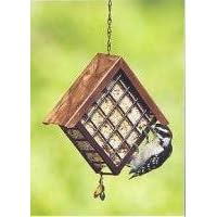 Deluxe Metal Suet Cage by