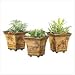 Safari Pots