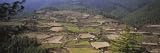 Aerial View of a Farmhouse in Paro, Bhutan Photographic Poster Print by Panoramic Images, 36x12