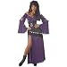California Costumes Women’s Mystic Seductress Costume