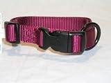 Hamilton Fits All 3/4 Adjustable Nylon Dog Collar, Wine, Medium (16-22 in)