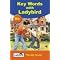 Ladybird Key Words Reading Scheme -