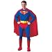 Search : Superman Returns Muscle Chest Costume