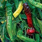 Organic Nardello Sweet Pepper - 50 Seeds - B001ERJBWG