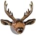 All Products : Inflatable Moose Head Wildlife Trophy Hunter