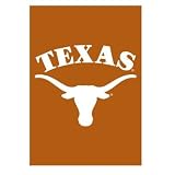 Texas Longhorns - Window / Garden Flag